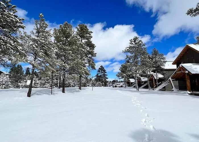 Villa Luxury Over The Meadow